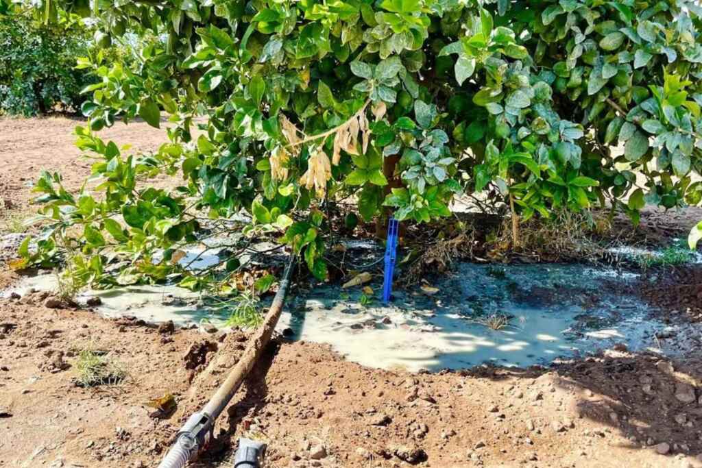 cambiamenti climatici 1 1024x683 1