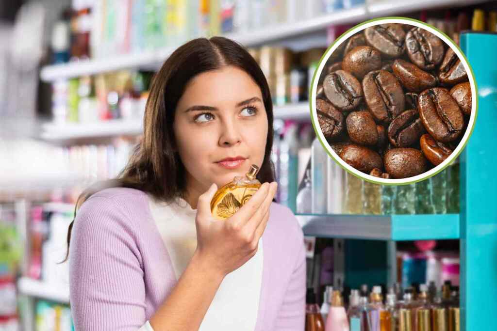 Perché tutti i negozi di profumi ti fanno annusare i chicchi di caffè 2 chicchi di caffè profumeria