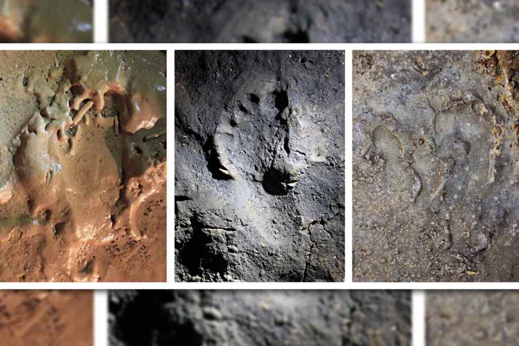 Il più antico caso di convivenza uomo cane scoperto in una grotta in Liguria: le impronte di un legame lungo 14.400 anni 2 impronte uomo cane