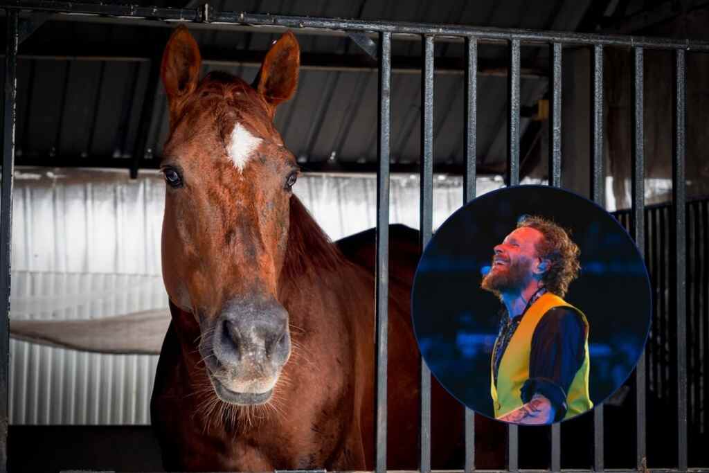 “No ai concerti di Jovanotti negli ippodromi”: dopo lo stop al tour sulle spiagge, parte l’appello per proteggere i cavalli 2 jovanotti cavalli