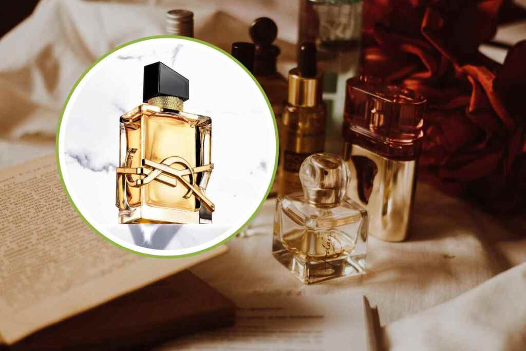 libre di yves Saint Laurent