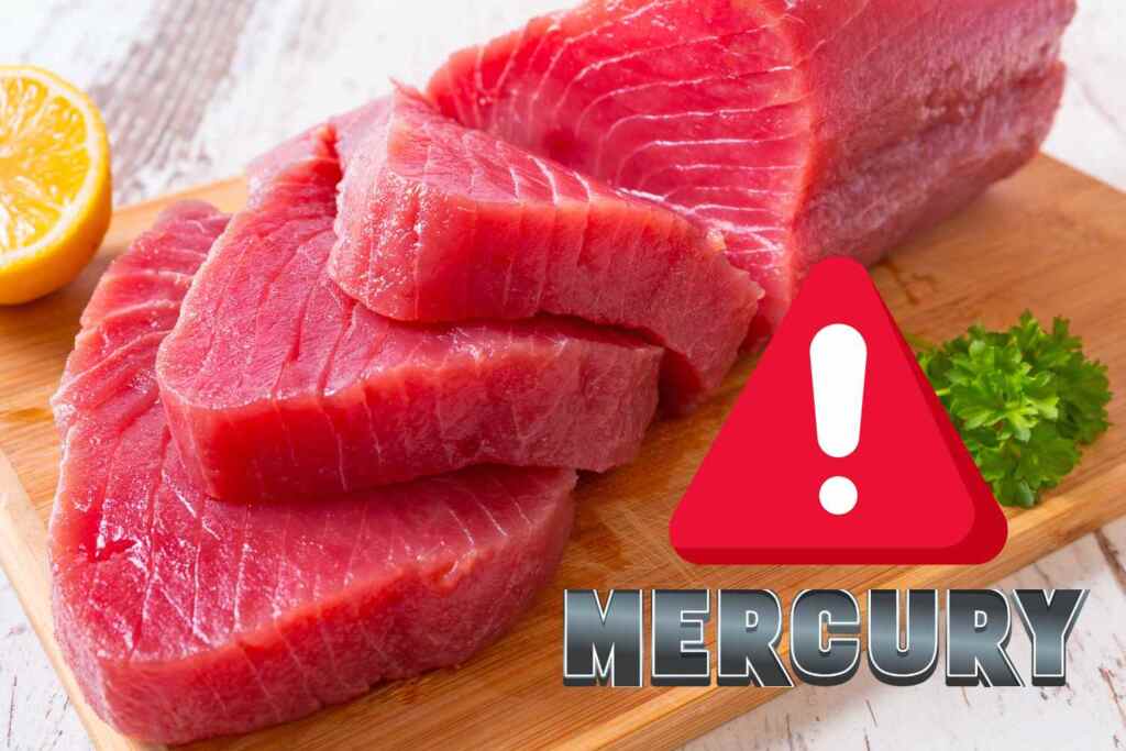 Non solo tonno in scatola: il mercurio si nasconde anche nei filetti freschi, 1 su 2 supera i limiti di sicurezza 2 mercurio filetti tonno