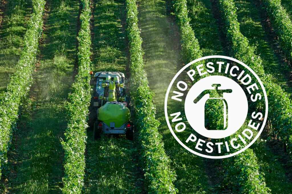 Pesticidi in Italia: crollate del 18% le vendite in 10 anni (e il biologico è in forte crescita) 2 no pesticidi