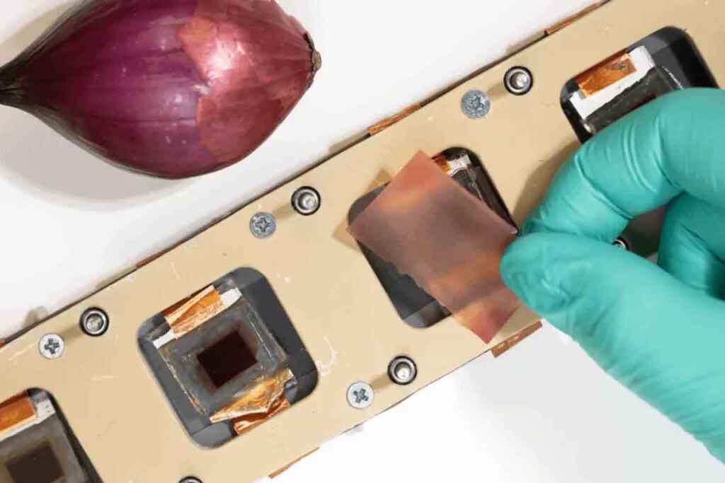 pannelli solari cipolla