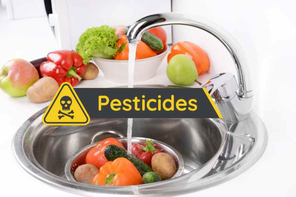 Se mangi spesso queste tipologie di frutta e verdura potresti avere più pesticidi nel corpo 2 pesticidi frutta verdura