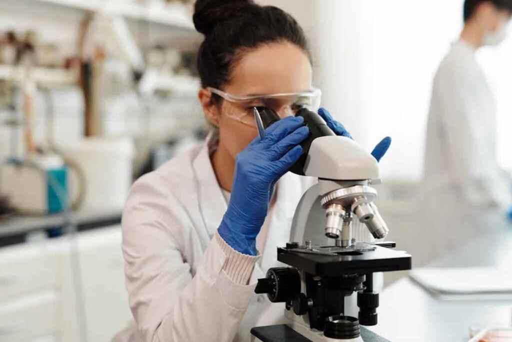 Alzheimer, nuova speranza: scienziati hanno trovato le cellule che possono “pulire” il cervello 2 ricerca scientifica