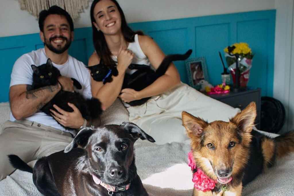 Nozze a quattro zampe: la sposa desidera nuovi amici pelosi e il destino le regala… Dora! 2 storia