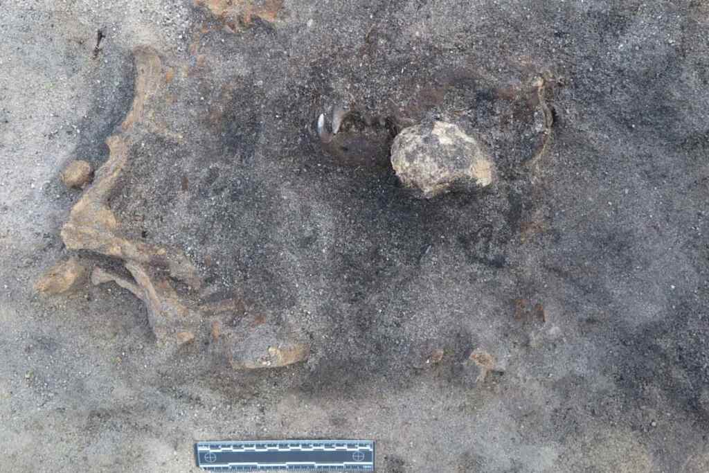 Carl Persson - Blekinge Museum