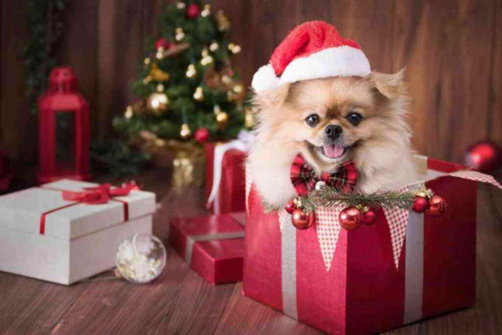 Cuccioli Natale