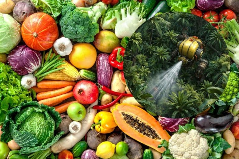 Sporca Dozzina 2025: cosa finisce davvero sulla nostra tavola? La lista dei 12 prodotti con più pesticidi 2 alimenti con pesticidi.jpg