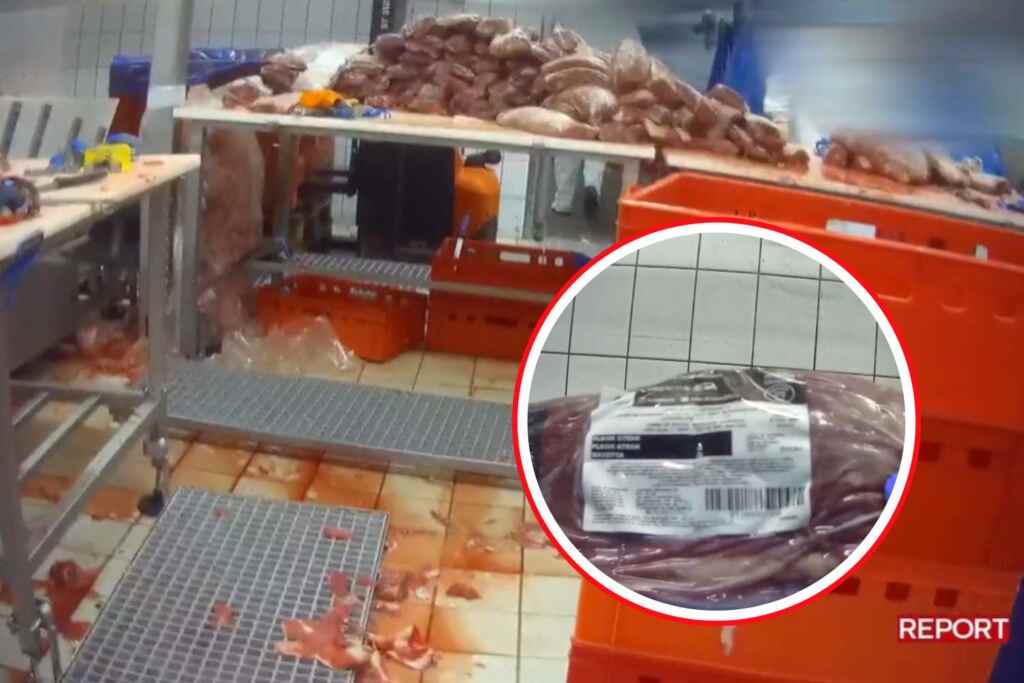 Scandalo della carne scaduta venduta come fresca: Report svela dove finiva 2 carne scaduta inchiesta report