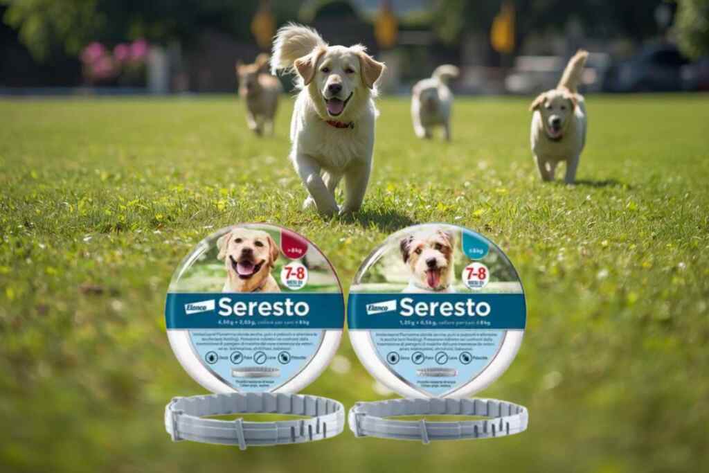 “Gravi effetti e cani deceduti”: il collare anti-pulci Seresto nella bufera (ed è venduto anche in Italia), che rischi si corrono? 2 collare seresto antiparassitario cani gatti