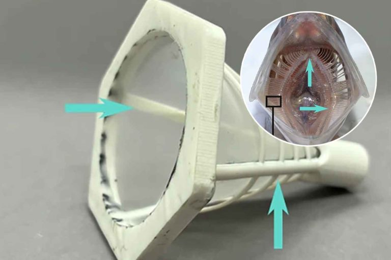 Questo rivoluzionario filtro ispirato alla bocca delle acciughe riesce a intrappolare le microplastiche della lavatrice 2 lavatrice filtro che puo fermare le microplastiche.jpg