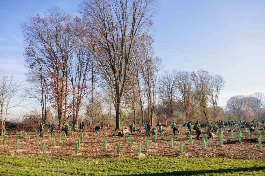 piantare alberi fastweb + Vodafone