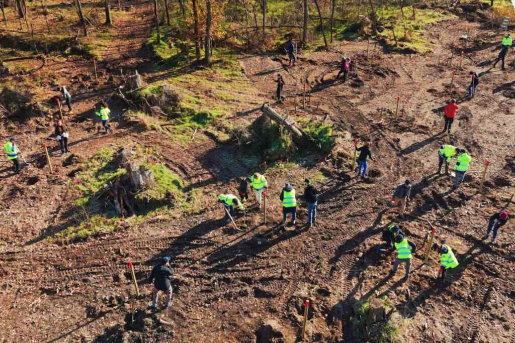 riforestazione 3 1024x683 1