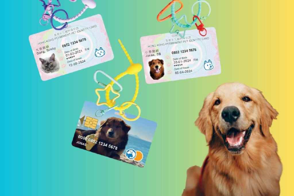 A Hong Kong anche cani e altri animali domestici hanno le loro carte d’identità (e ti strapperanno un sorriso): ma sono valide? 1 Carte identità animali
