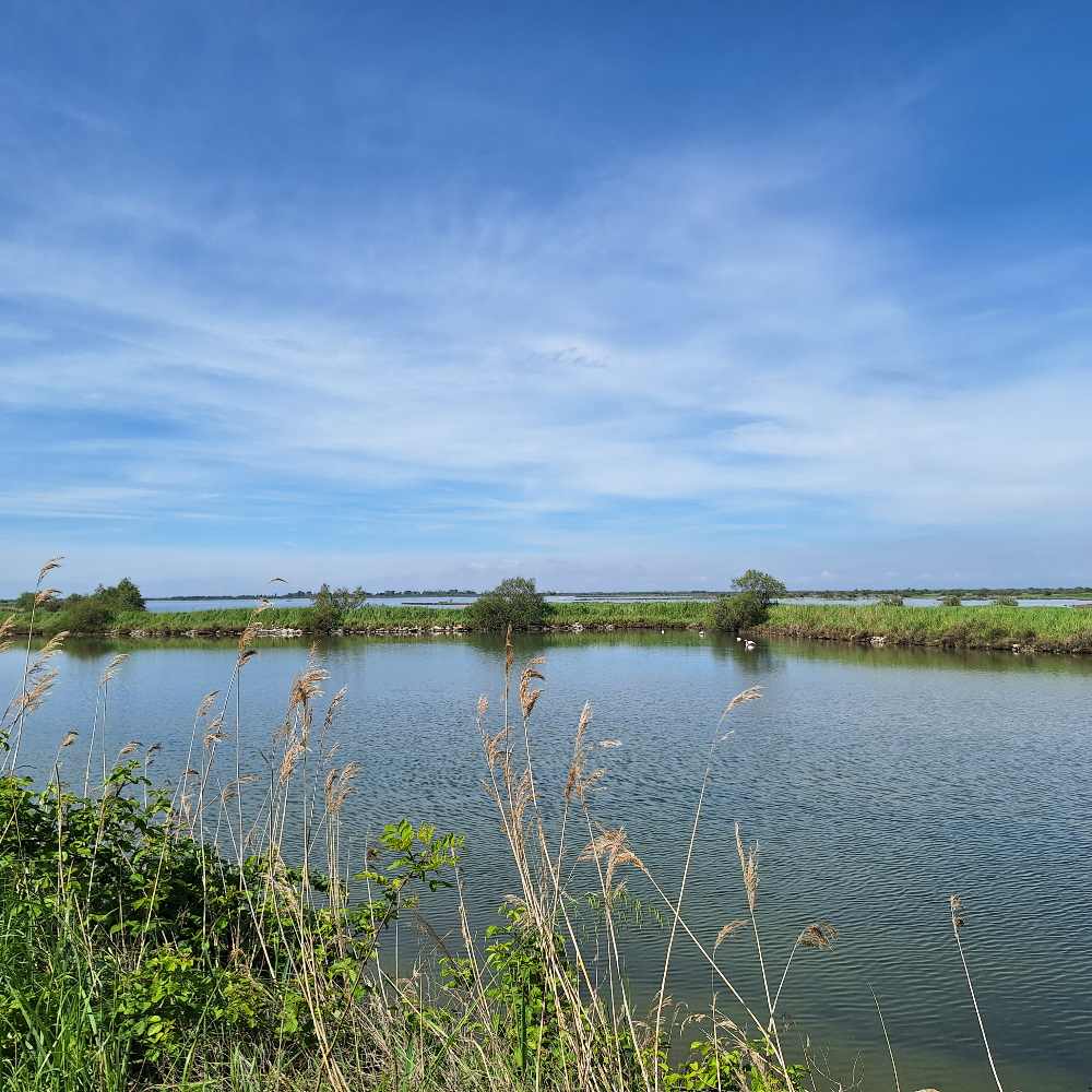 Siamo stati in bici lungo il Delta del Po tra natura e verde (e ti racconto una chicca imperdibile se ami i tramonti) 3 Delta del Po 1