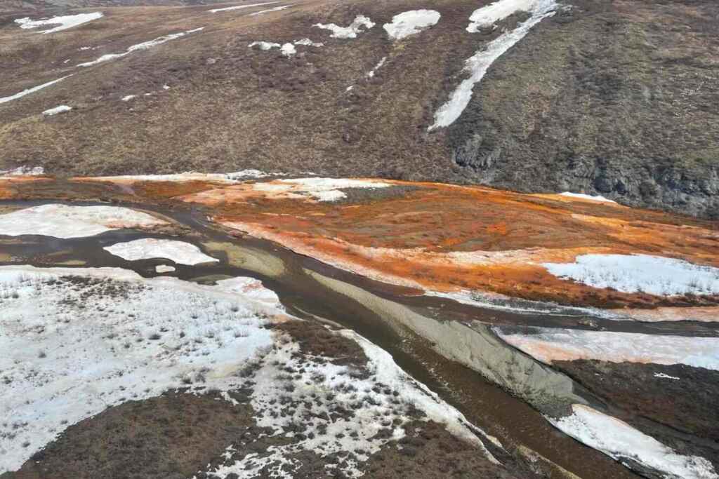 Fiumi artici arancioni