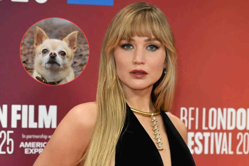 Jennifer Lawrence nella bufera per aver ceduto il suo Chihuahua: “dopo che ha morso mio figlio ho voglia di annientare ogni cane” 2 Jennifer Lawrence 2