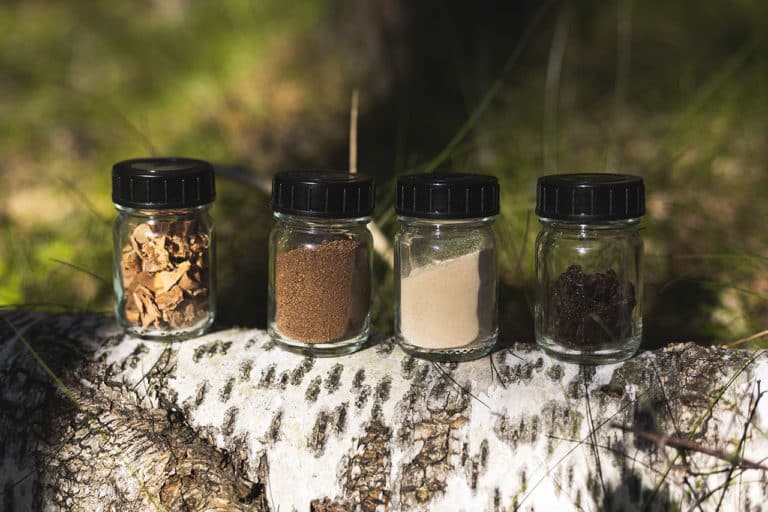 Betula: pneumatico concept di Nokian Tyres ricavato da corteccia di betulla 4 Materie prime Nokian Tyres Betula.jpg