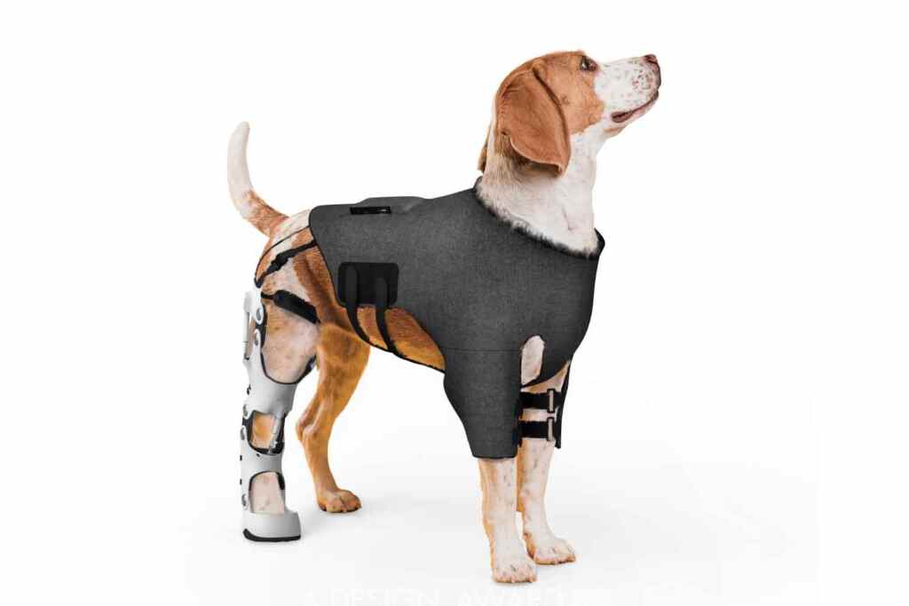 esoscheletro per cani