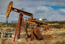 Il Guatemala dice stop al petrolio per salvare la foresta Maya: chiusi i pozzi nel cuore della riserva dei giaguari