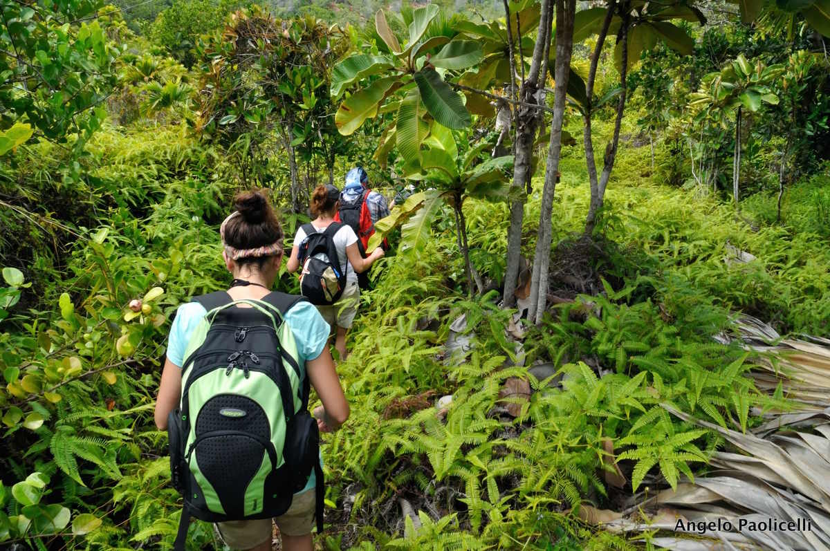 Seychelles: perché restano tra le mete esotiche più amate dagli italiani (spiagge a parte) 2 seychelles