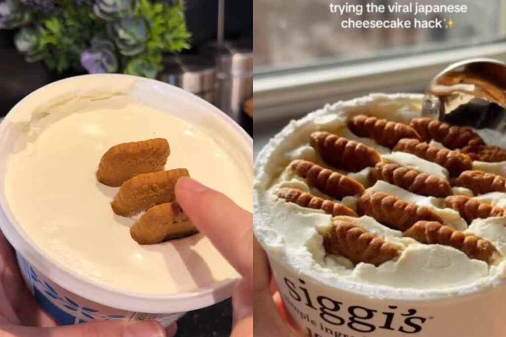 japanese cheesecake virale