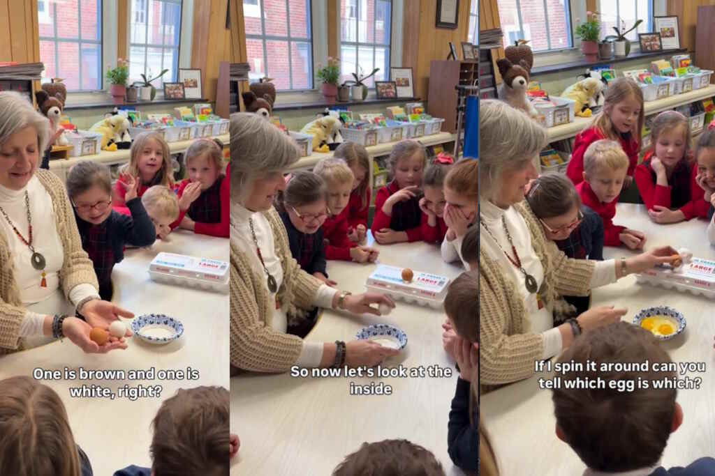 Questa maestra americana usa due uova di colore diverso per spiegare il razzismo ai bambini (e ti farà riflettere) 2 maestra uova