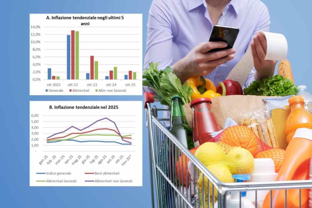 Fare la spesa costa sempre di più: colpa solo dell’inflazione? L’Antitrust apre un’inchiesta sui supermercati 2 spesa cara