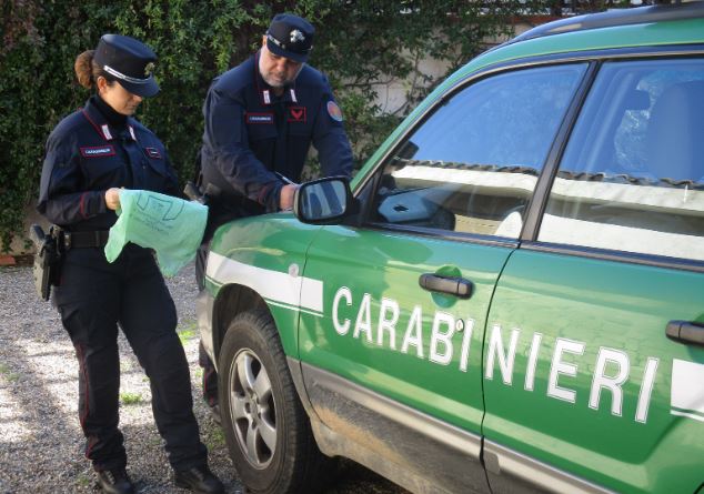 terracina carabinieri forestali discarica rifiuti