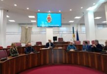 Frosinone, studio scientifico sull’Alberata storica di viale Roma: il Comune affida l’analisi al Politecnico di Milano frosinone alberata comune politecnico milano