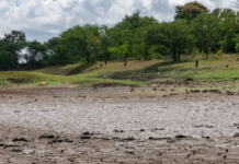 Emergenza idrica nell’Italia Centrale: la siccità diventa “strutturale”