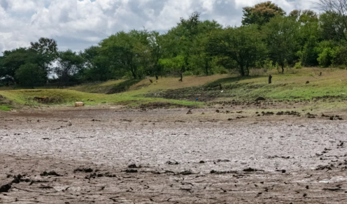 Immagine 2026-03-19 135555