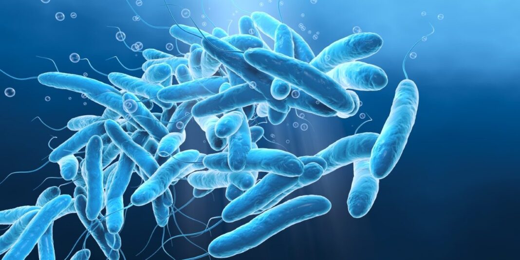 legionella frosinone albergo sindaco