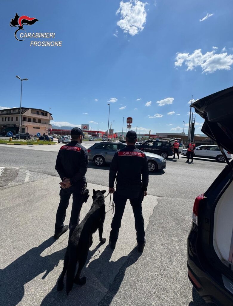 Frusinate - Tenaglia sul territorio: trovate droga, refurtiva e munizioni. Un 20enne nei guai per colpa dei social 3 Foto 5