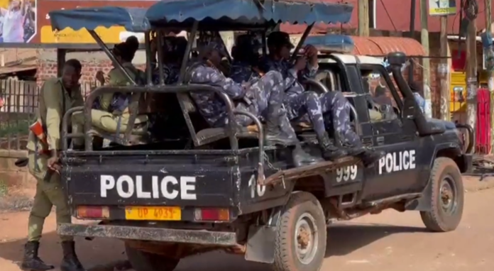 Immagine 2026-04-02 162332