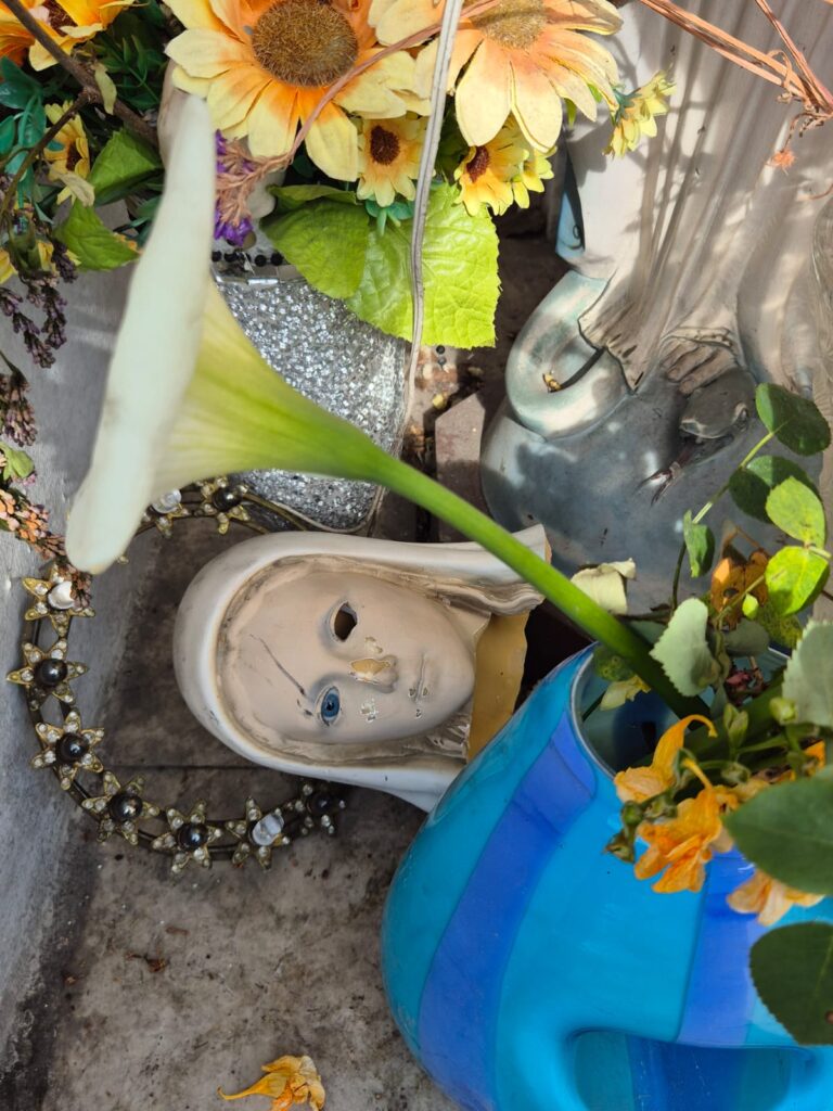 Frosinone, ondata sacrilega scuote la città: decapitati Padre Pio e una Madonnina: caccia al responsabile 1 WhatsApp Image 2026 04 14 at 18.19.52