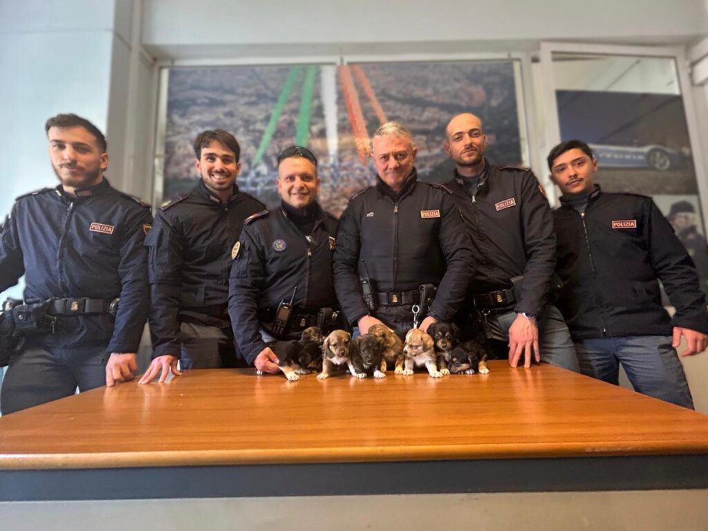 Roma - Otto cuccioli di cane chiusi in una busta di plastica, salvati dalla Polizia 1 eeda9d96 bd9d 4594 a1d3 f74614402374