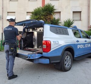 Frosinone - Maxi controlli interforze: sequestrate ketamina e cocaina, due persone nei guai 1 controllo territorio 23 maggio f 2