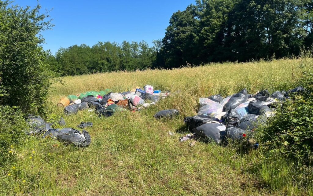 rifiuti discarica abusiva ceccano
