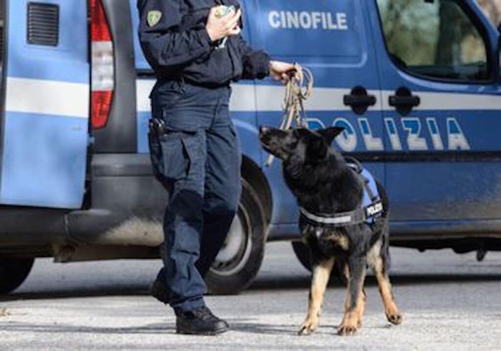 cani antidroga polizia