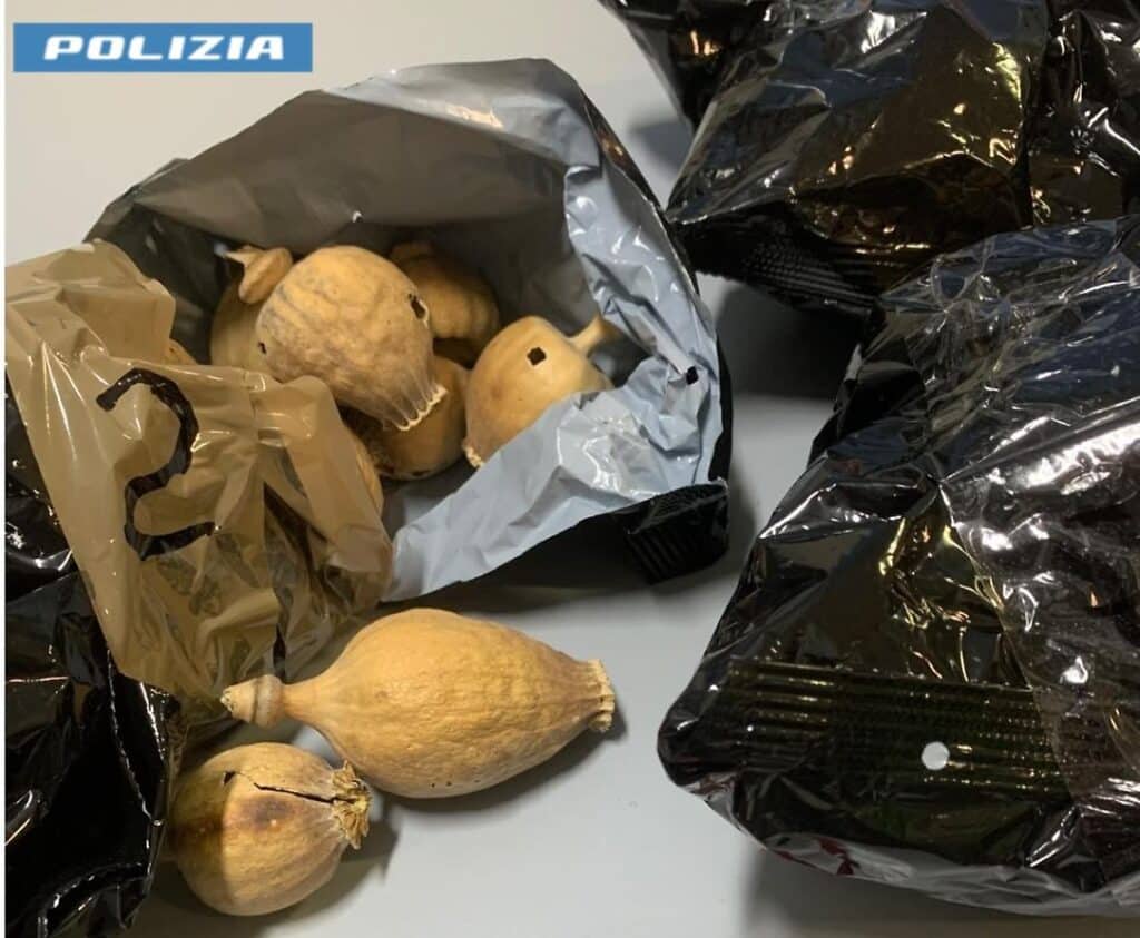 latina bulbi oppio polizia