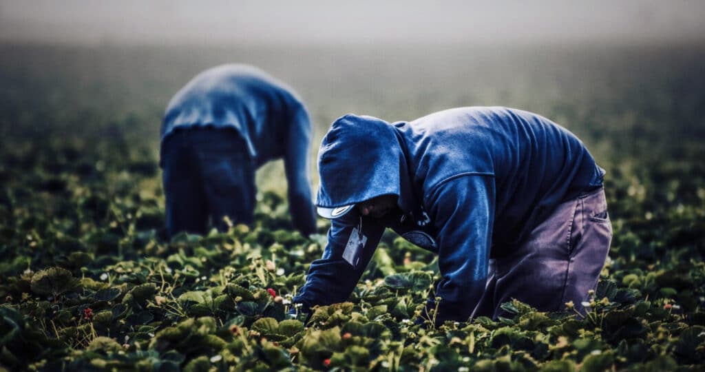 caporalato latina agro pontino