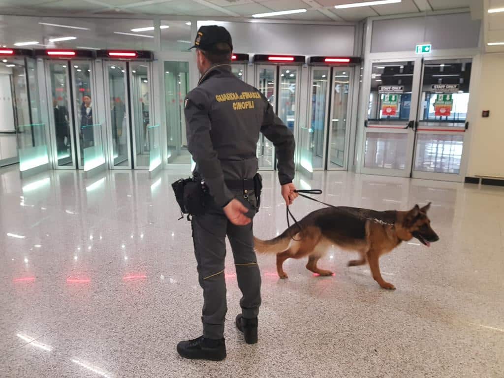 roma fiumicino guardia di finanza