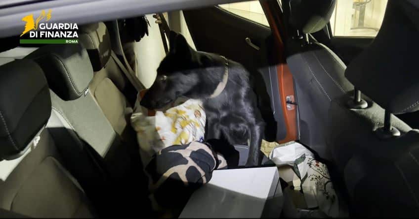 roma guardia di finanza cani