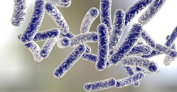 latina_legionella_allarme.jpg